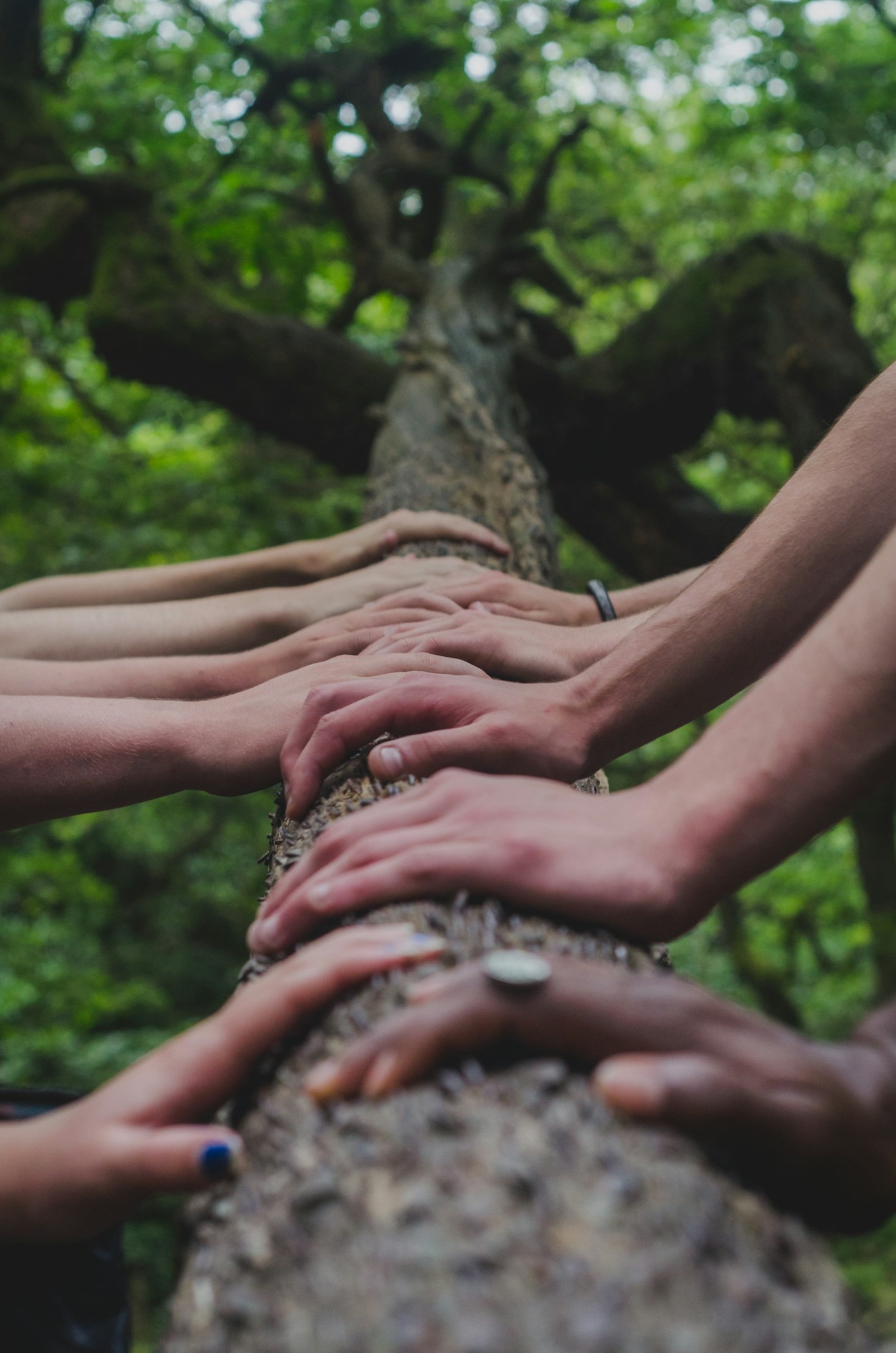 The Role of Social Development in Community Growth